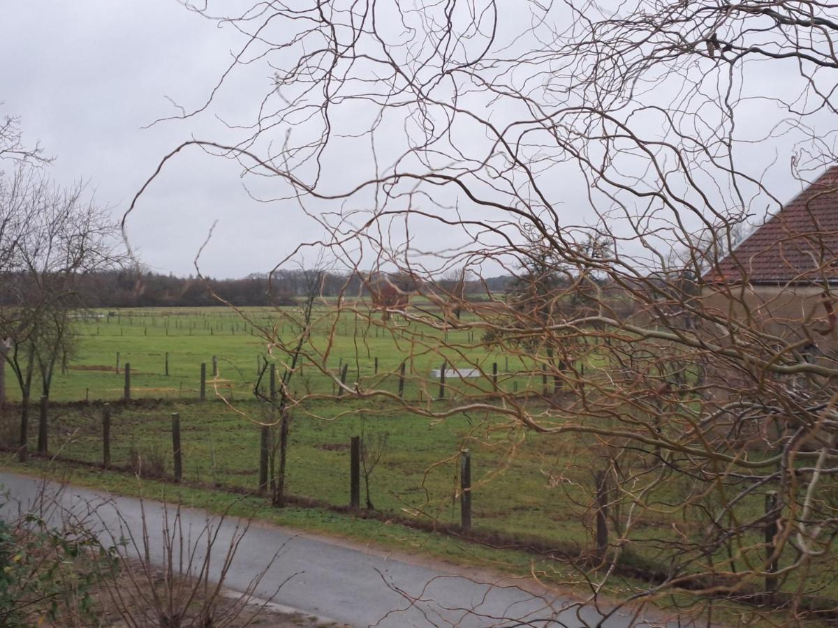 Gnaden- Und Ferienhof Saale Wittgenstein In The Middle Of Gar Nix Bismark Buitenkant foto